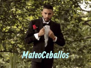 MateoCeballos