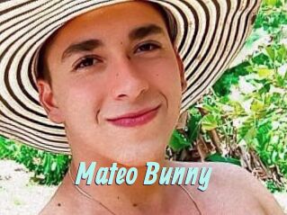 Mateo_Bunny