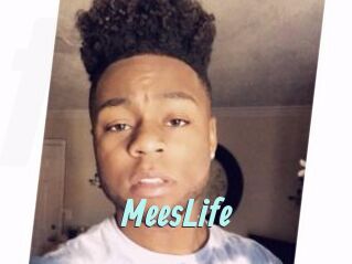 MeesLife