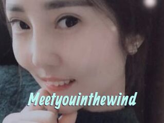 Meetyouinthewind