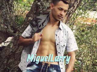 MiguelLarry