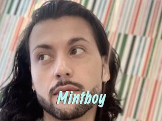 Mintboy