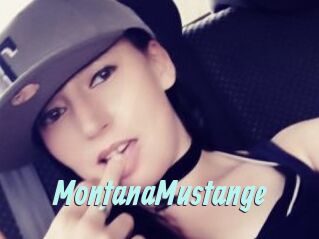 MontanaMustange