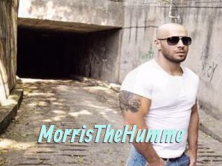 MorrisTheHumme