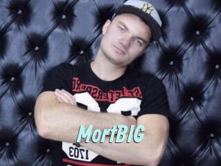MortBIG