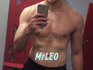 MrLEO