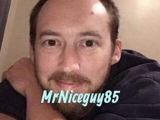 MrNiceguy85
