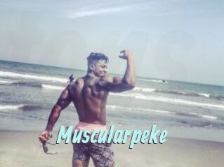 Muscularpeke