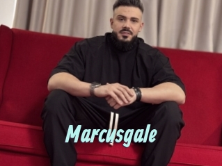 marcusgale Ton Show