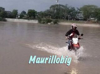 Maurillobig