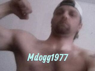 Mdogg1977