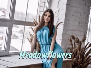 Meadowflowers