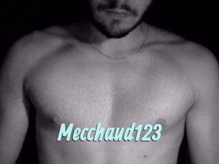 Mecchaud123