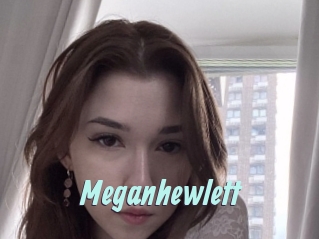 meganhewlett Ton Show