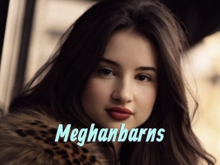 Meghanbarns