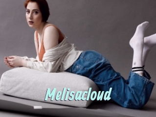 Melisacloud