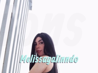 Melissagalinndo