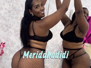 meridahadidi Ton Show
