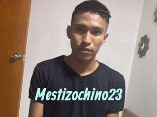 Mestizochino23