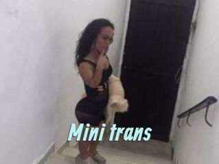 Mini_trans