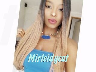 Mirleidycat
