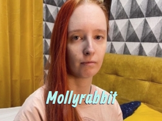 Mollyrabbit