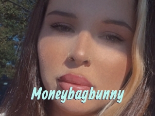 Moneybagbunny