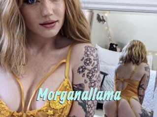 Morganallama