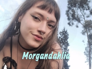 Morgandahlia