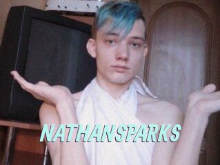 NATHAN_SPARKS