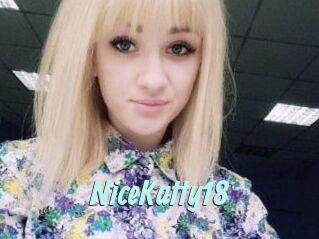 NiceKatty18