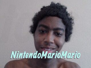 NintendoMarioMario