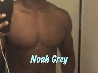 Noah_Grey