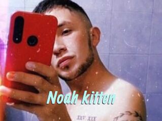 Noah_kitten
