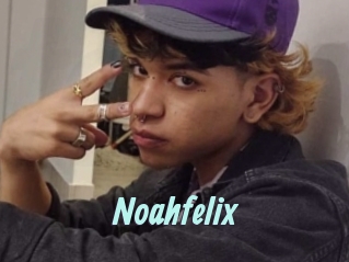 noahfelix Ton Show