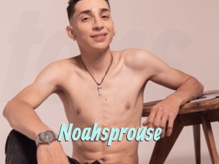 Noahsprouse