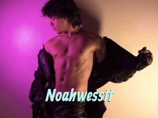 Noahwesstt