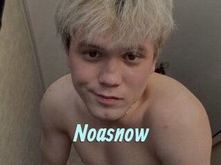 noasnow Ton Show