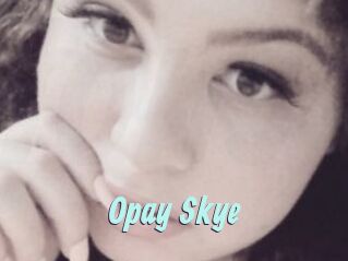 Opay_Skye