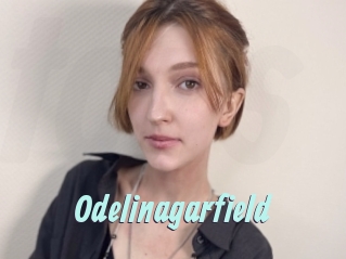 Odelinagarfield