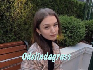 Odelindagrass