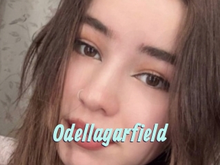 Odellagarfield
