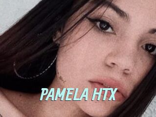 PAMELA_HTX