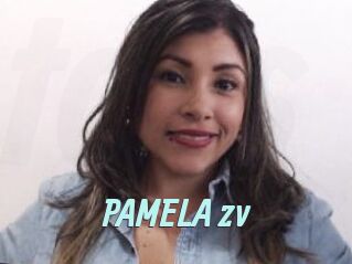 PAMELA_zv