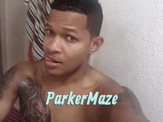 Parker_Maze