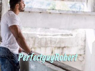 PerfectguyRobert