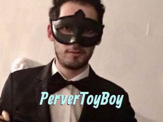 PerverToyBoy