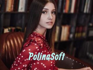 PolinaSoft