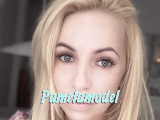 Pamelamodel