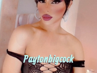 Paytonbigcock